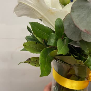 Çiçek Sepetinden Gelen Çiçekler Solmuş Ve Taze Değildi