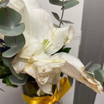 Çiçek Sepetinden Gelen Çiçekler Solmuş Ve Taze Değildi