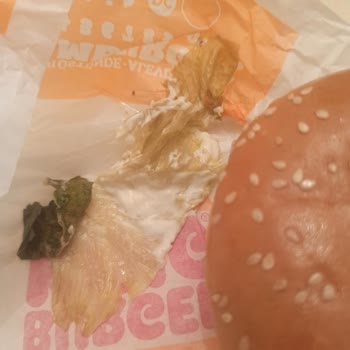 Bozuk Ve Bayat Ürünler, Yanlış Soslar, Çözüm Sunulmayan Müşteri Hizmetleri