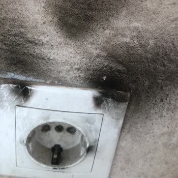 Garanti Verilmeyen Akım Korumalı Priz Arızalandı, Destek Alamadım