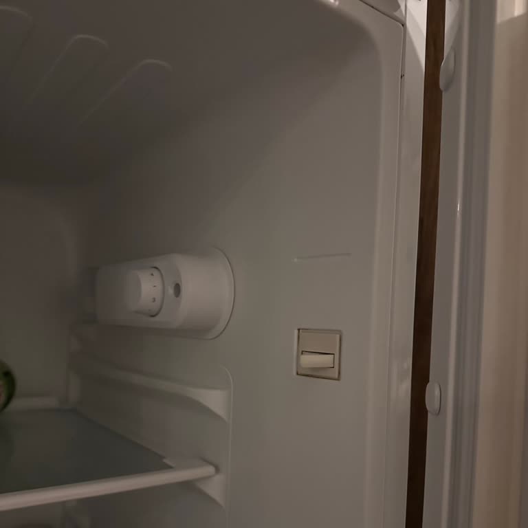 Altus Buzdolabımın İç Işığı Deprem Sonrası Çalışmıyor, Çözüm Bekliyorum