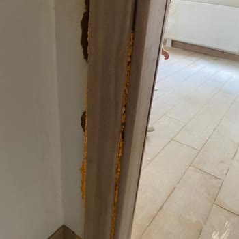 Deprem Sonrası Teslim Edilen TOKİ Evinde Küf ve Rutubet Nedeniyle Yaşayamıyorum