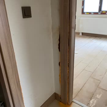 Deprem Sonrası Teslim Edilen TOKİ Evinde Küf ve Rutubet Nedeniyle Yaşayamıyorum