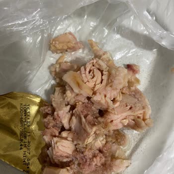 Son Kullanma Tarihi Geçmemiş Ton Balığında Renk Değişimi