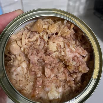 Son Kullanma Tarihi Geçmemiş Ton Balığında Renk Değişimi