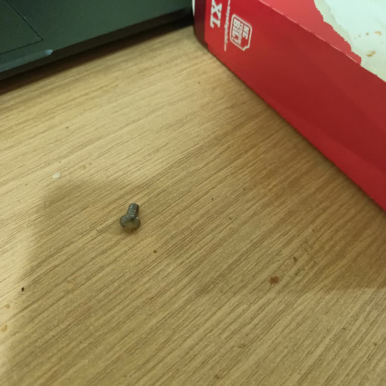 Hamburgerin İçinden Vida Çıktı, Çözüm Sunulmadı!