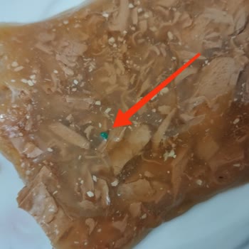 Nestle Purina Petcare Kedi Mamasında Yabancı Madde Çıkması Ve Güven Sorunu