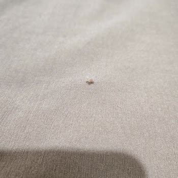 Etiketi Kesilen Elbisede Üretim Hatası Ve Değişim Talebine Olumsuz Yanıt