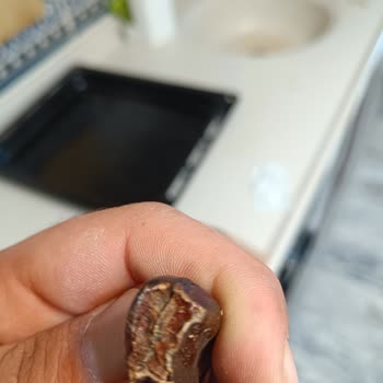 Kapalı Ambalajda Kurtlanmış Keçiboynuzu Satışı Ve Dikkatsizlik