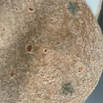 Son Kullanma Tarihi Geçmemiş Lavaşın Küflü Çıkması