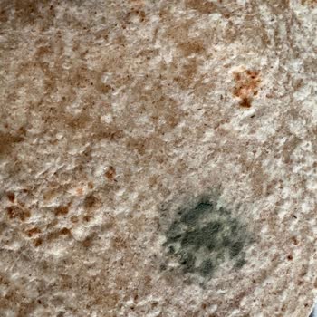 Son Kullanma Tarihi Geçmemiş Lavaşın Küflü Çıkması