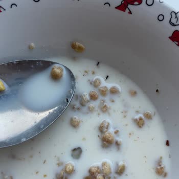 Aldığım Granolanın İçinden Böcek Çıktı, Markadan Dönüş Alamadım