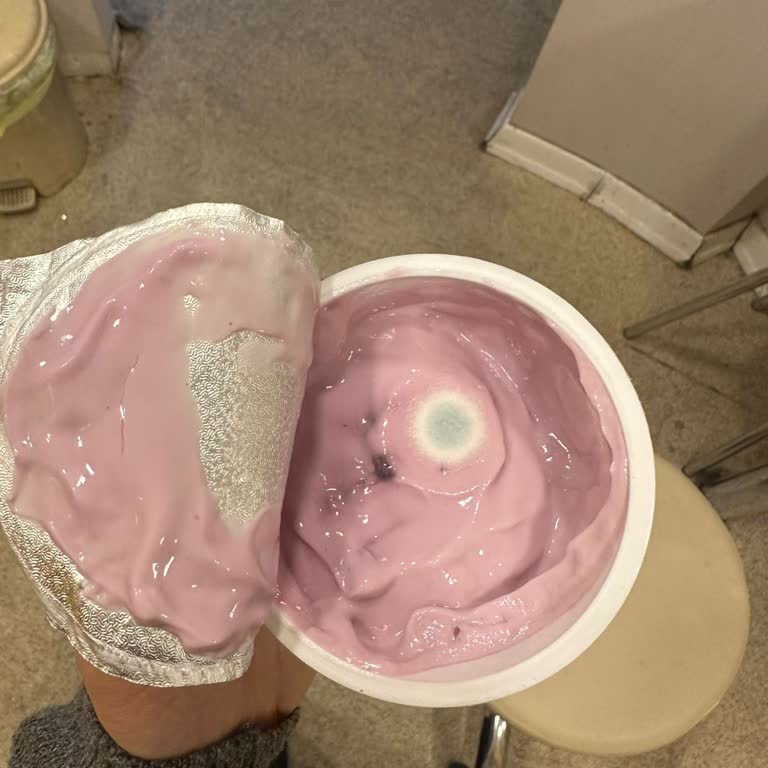 Sek Quark Küflenmiş Yoğurt