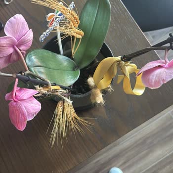 Çiçek Sepeti Siparişim Geç Teslim Edildi Ve Orkide Kalitesiz Çıktı