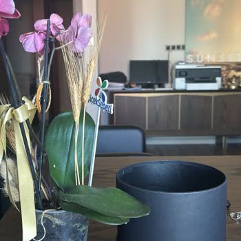 Çiçek Sepeti Siparişim Geç Teslim Edildi Ve Orkide Kalitesiz Çıktı