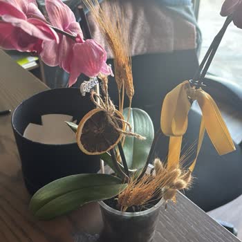 Çiçek Sepeti Siparişim Geç Teslim Edildi Ve Orkide Kalitesiz Çıktı