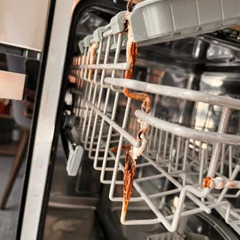 Teka Bulaşık Makinesi Sepetleri Hızla Paslandı Fahiş Değişim Ücreti Talep Ediliyor