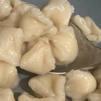 A101 Satın Aldığım Mantıdan Kıl Çıktı: Hijyen ve Sağlık Konusunda Mağduriyet