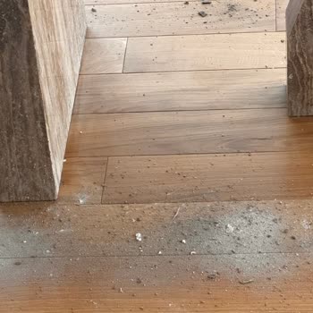 Hasarlı Masa İadesi İçin Süreçte Yaşanan Gecikme Ve Mağduriyet