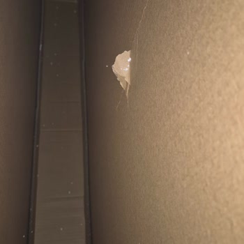 Teslim Edilen Televizyonun Hasarlı Çıkması Ve İade Sürecinde Mağduriyet