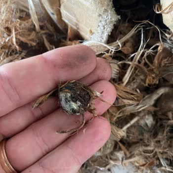 Bozuk Ürün, İptal Edilmeyen Sipariş Ve Yapılmayan Para İadesi Nedeniyle Mağduriyet