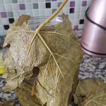 @tokaterbaa.yaprak Gelen Yapraklar Tanıtılan Gibi Değil