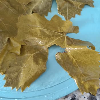 @tokaterbaa.yaprak Gelen Yapraklar Tanıtılan Gibi Değil