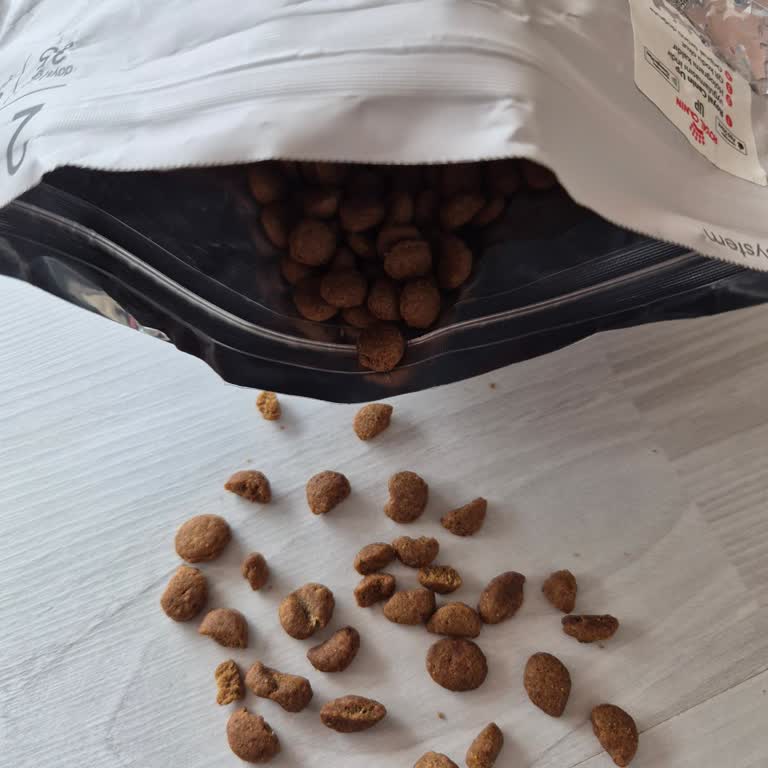 Aldığım Kedi Mamasında Şekil Bozukluğu Ve İade Sorunu