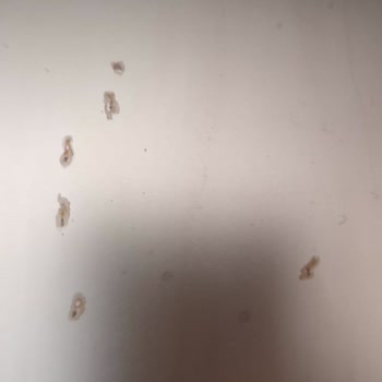 LG QuadWash Dishwasher Rusting Problem