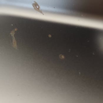 LG QuadWash Dishwasher Rusting Problem