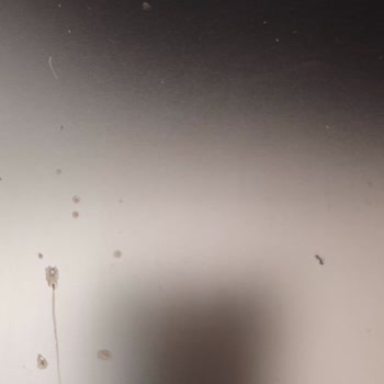 LG QuadWash Dishwasher Rusting Problem