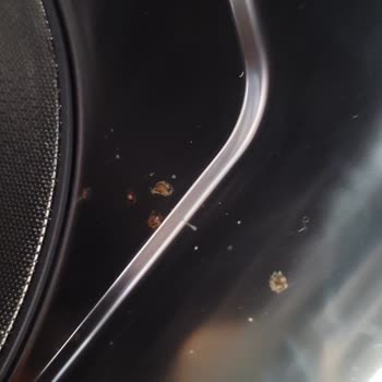 LG QuadWash Dishwasher Rusting Problem