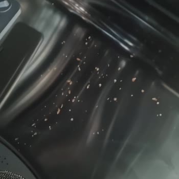 LG QuadWash Dishwasher Rusting Problem