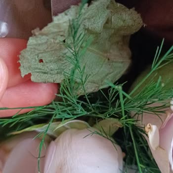 Sipariş Ettiğimiz Güller Solmuş Ve Özensiz Gönderildi