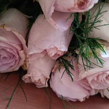 Sipariş Ettiğimiz Güller Solmuş Ve Özensiz Gönderildi