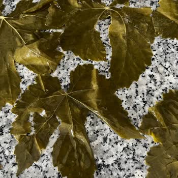 Sipariş Edilen Salamura Yaprakların Kalitesiz Ve Beklentiyi Karşılamaması