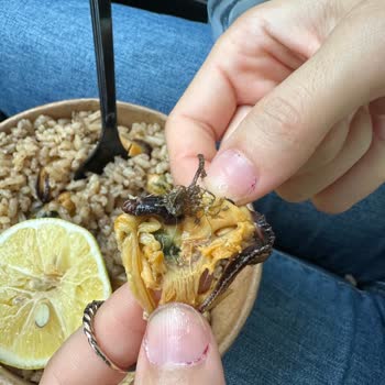 Midyeli Pilavda Temizlenmemiş Midye Ve Hijyen Sorunu Yaşadım