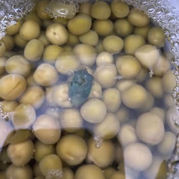 Yurdum Konserve Bezelyede Böcek Şoku: Hijyen Sorunu