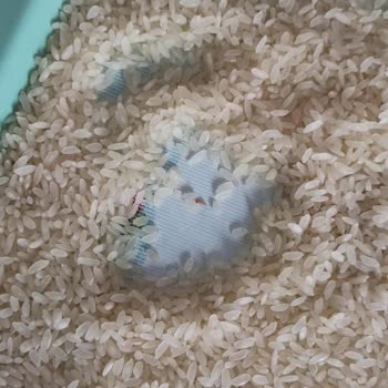 Aldığım Pirinçten Kurt Çıktı, Tekrarı Yaşadım