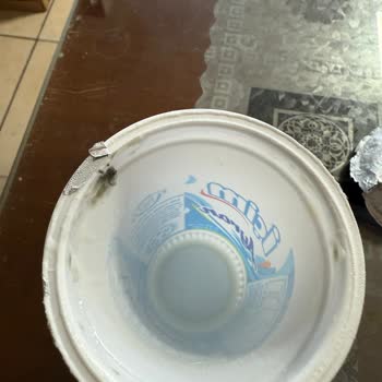 Son Kullanma Tarihi Geçmemiş İçim Ayranda Küf ve Sağlık Sorunu Yaşadım