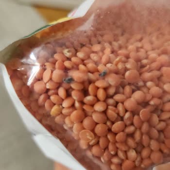 Aldığım Organik Mercimek Paketinde Böcek Çıktı, Mağduriyetimin Giderilmesini Talep Ediyorum