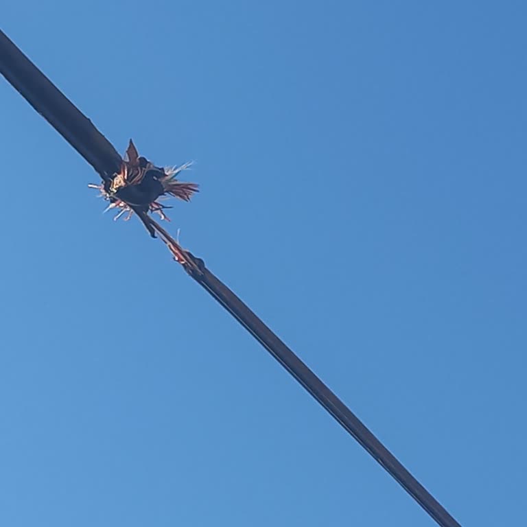 Belediye Çalışması Sonrası Kopan İnternet Kablosu 5 Gündür Onarılmadı, Mağduriyetim Devam Ediyor