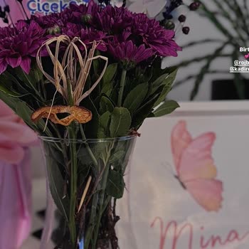 Görselden Farklı Ve Kötü Ürün, Çözüm Sunulmuyor!