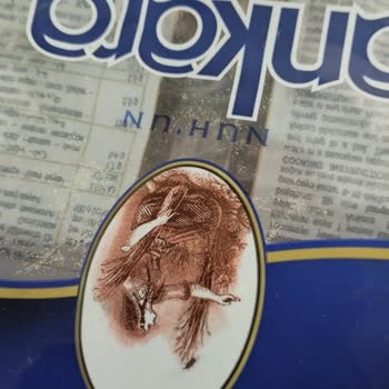 Aldığım Makarnaların Tamamı Böceklenmiş Ve İade Yapılamıyor