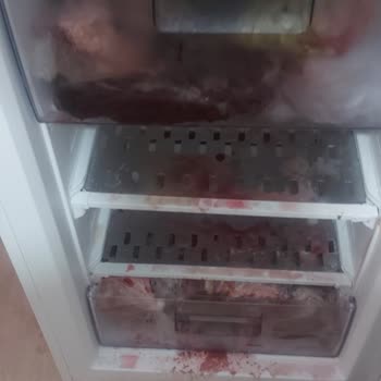 Garanti Kapsamındaki Derin Dondurucu Arızası Nedeniyle Büyük Maddi Zarar