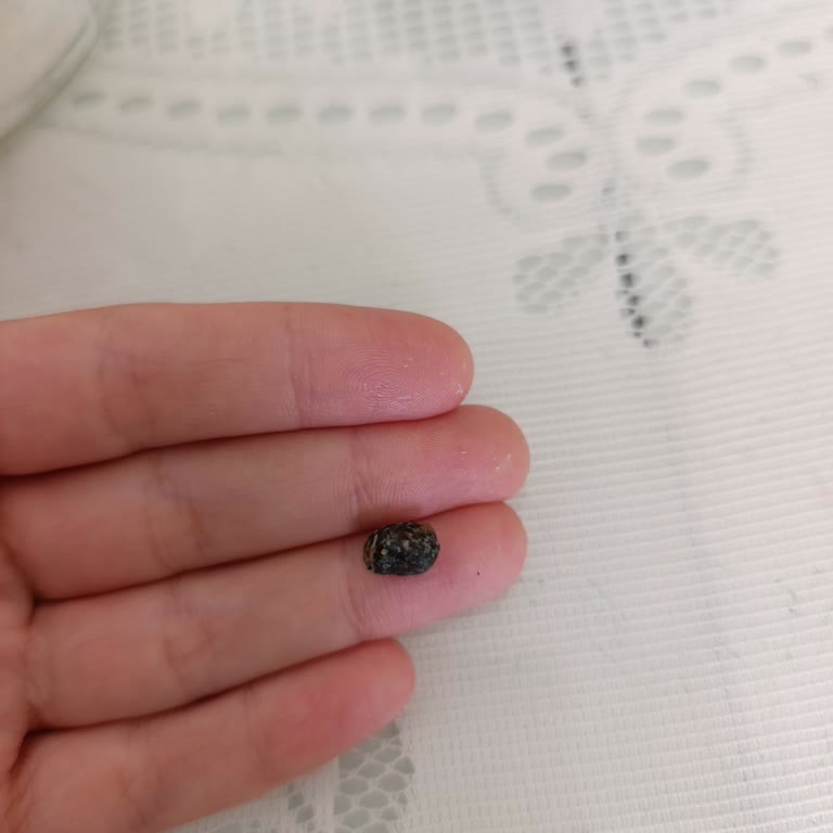 Midye Baklavadan Taş Çıkması Ve Hijyen Endişesi