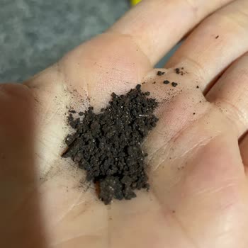 Gold Harvest Kuruyemiş Açık Koruyucu Paketler Ve Güvenlik Endişesi Yaşadım