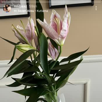 Gönderilen Çiçek Görseldekiyle Uyuşmuyor Ve Müşteri Hizmetleri Sorunu Çözmüyor