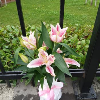 Gönderilen Çiçek Görseldekiyle Uyuşmuyor Ve Müşteri Hizmetleri Sorunu Çözmüyor