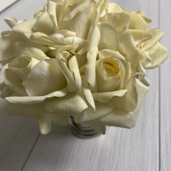 Buon Odore Aldığım Solmayan Gül Ürünü Sürekli Sorunlu Çıktı, Mağduriyetim Giderilmiyor